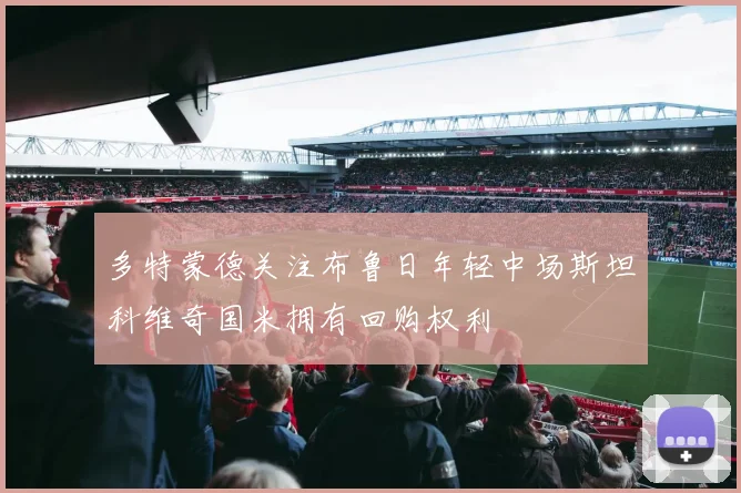多特蒙德关注布鲁日年轻中场斯坦科维奇国米拥有回购权利