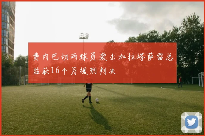 费内巴切两球员袭击加拉塔萨雷总监获16个月缓刑判决